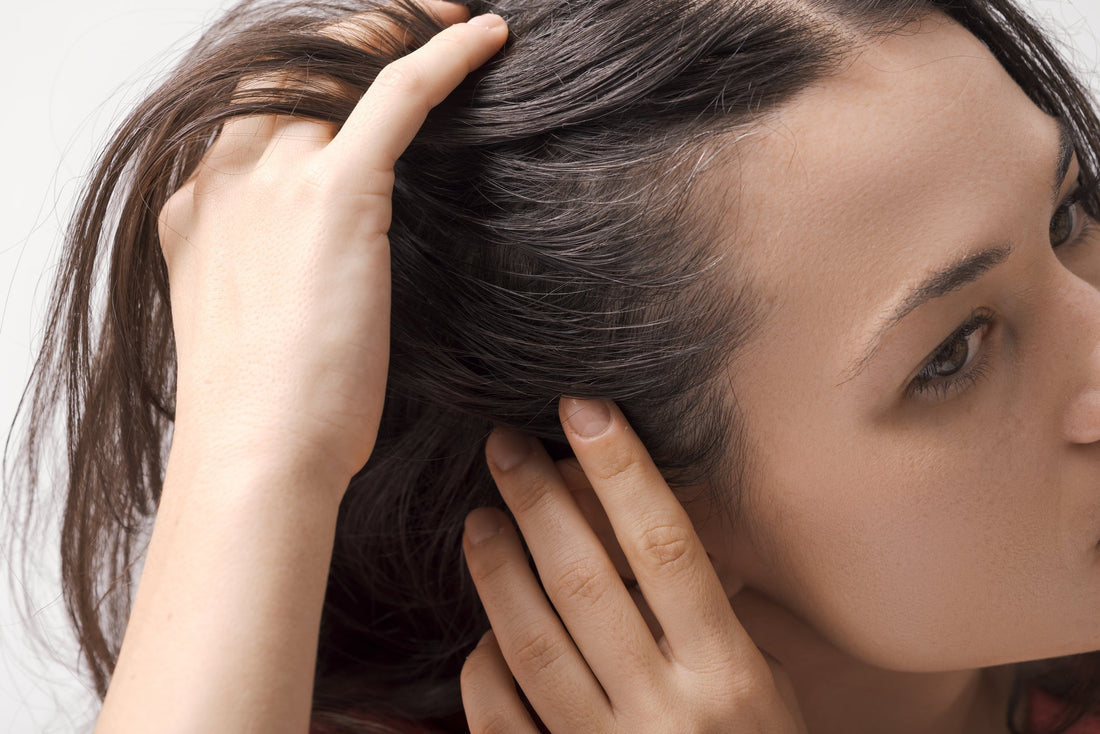 The Science of “Root Health”: Why Scalp Nourishment Matters More Than Length